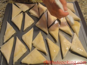 DSC_0066  brush filodough