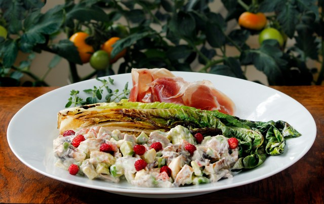 0833 olis summer salad